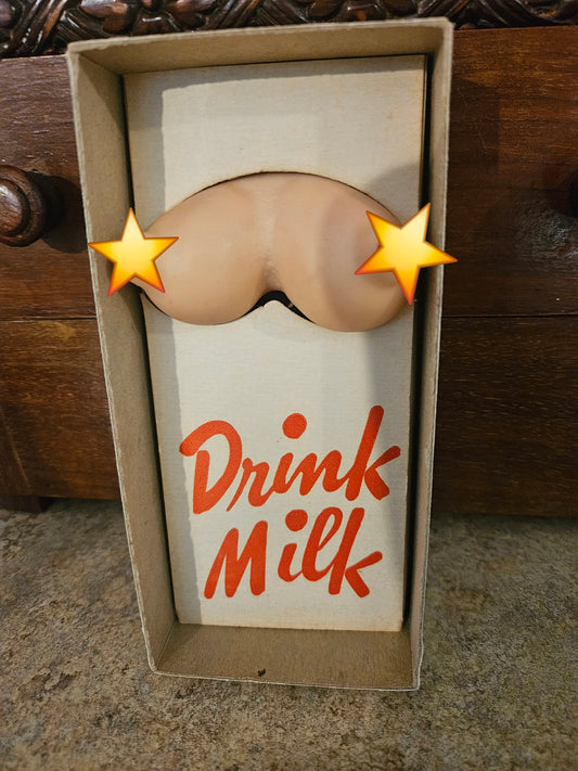"Don't Be an Alcholic" Vintage Novelty Gag Box – Complete with Original Box
