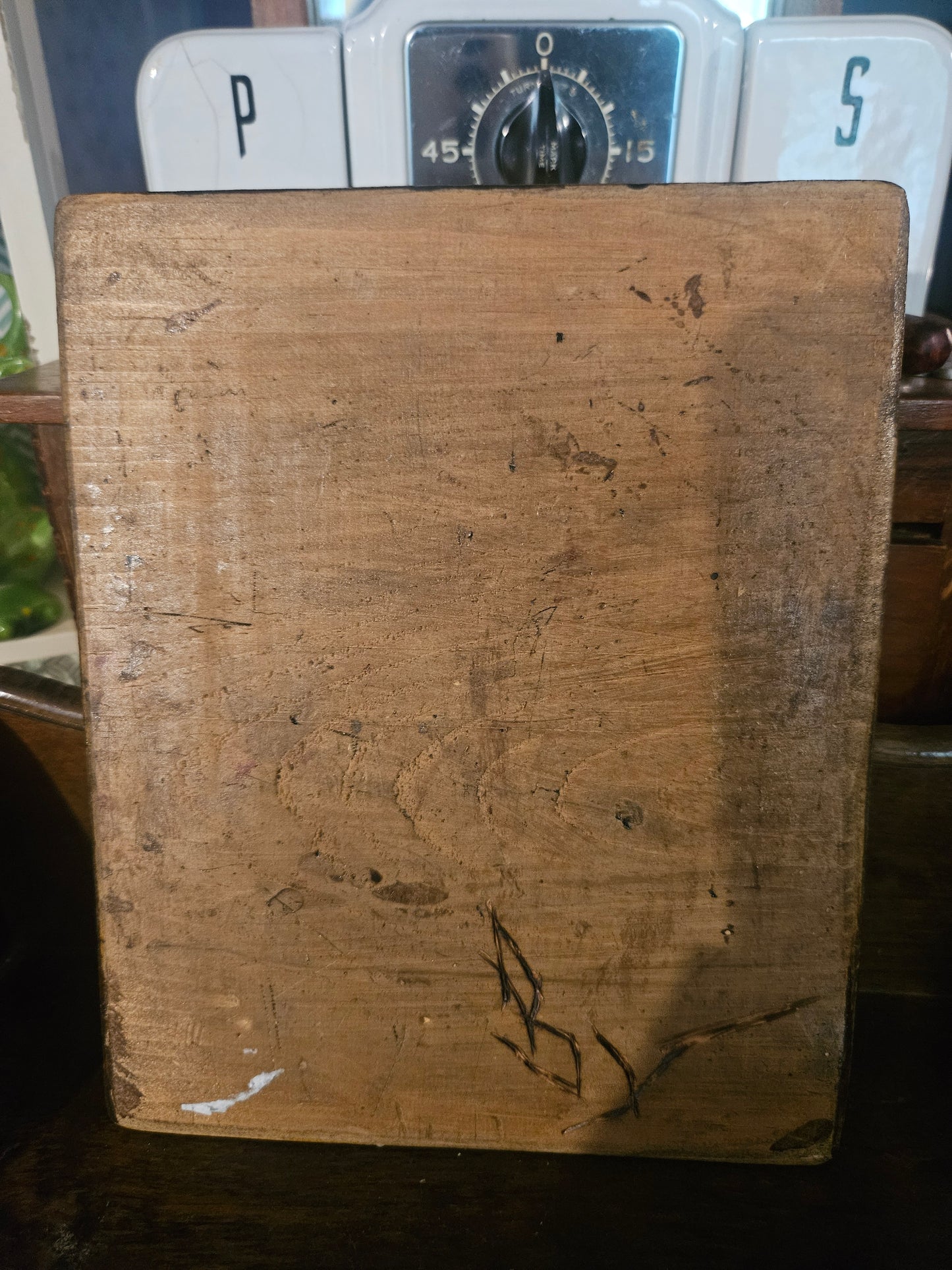 Handmade Wood-Burned Mushroom Plaque