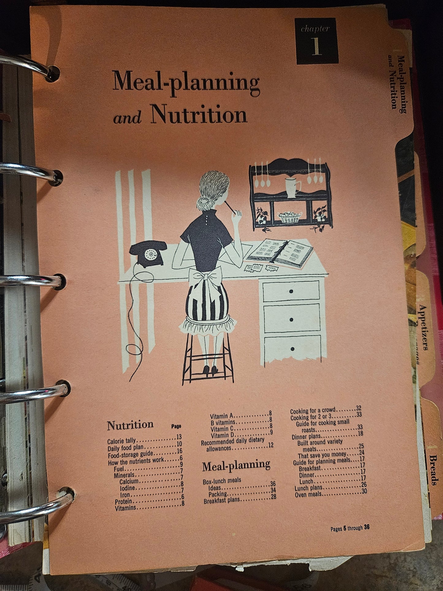 Better Homes and Gardens New Cook Book — 11th Edition (1996), Gingham Binder, Very Good Condition