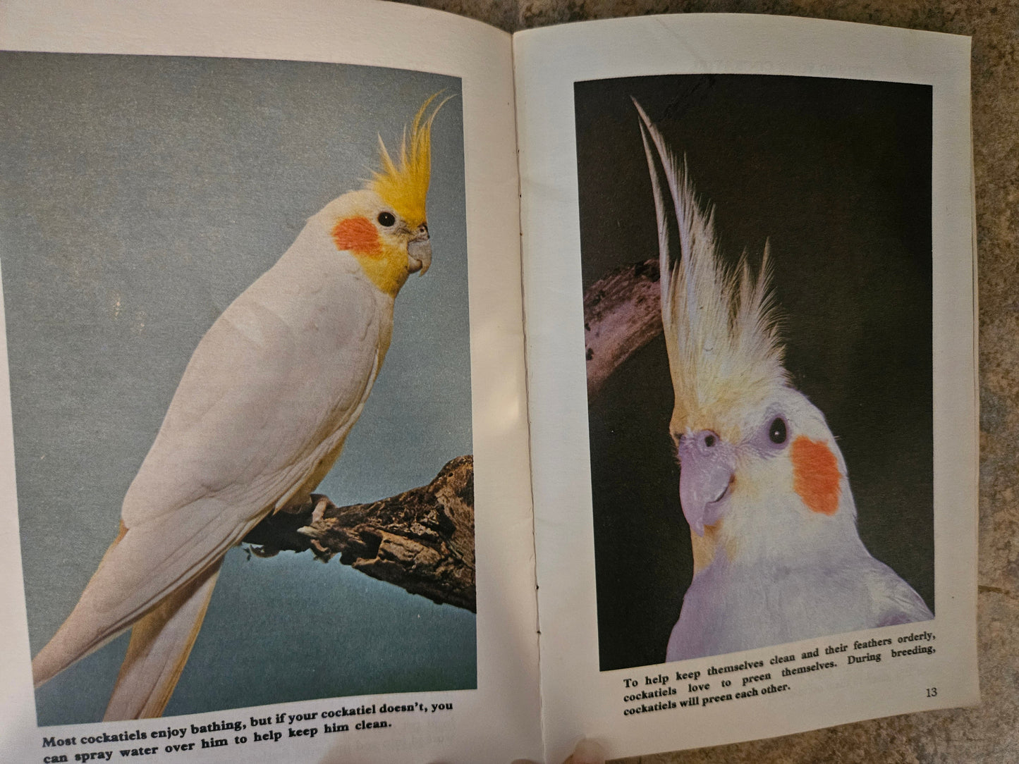 "Learning about Cockatiels" — Vintage Pet Library Booklet, 1970s