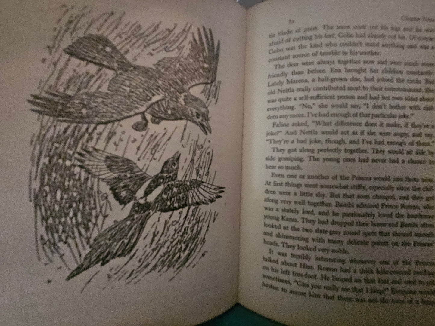 Interior page of Bambi showing black and white bird illustration