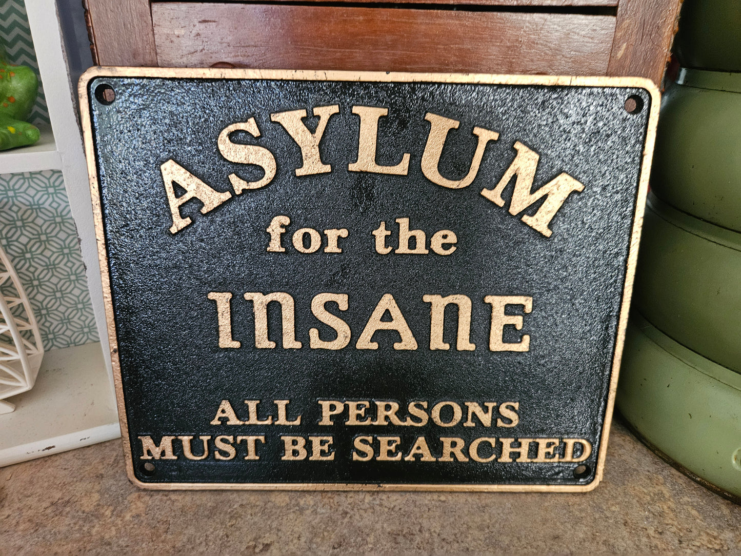 "Asylum for the Insane" Cast Iron Sign – Reproduction Vintage Gothic Wall Plaque