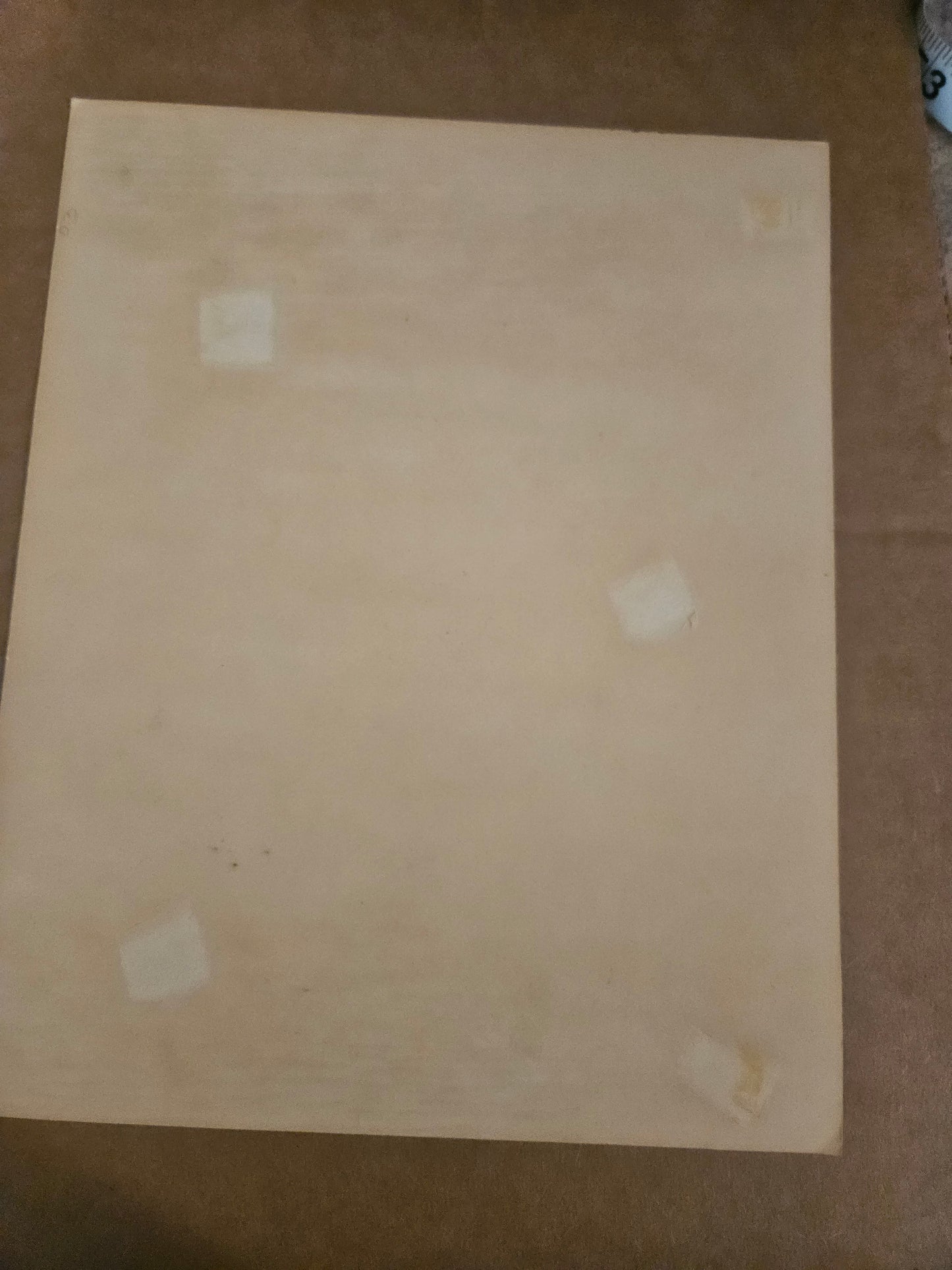 Back of Wizard of Oz castle scene photo print showing age yellowing and tape residue spots on plain surface