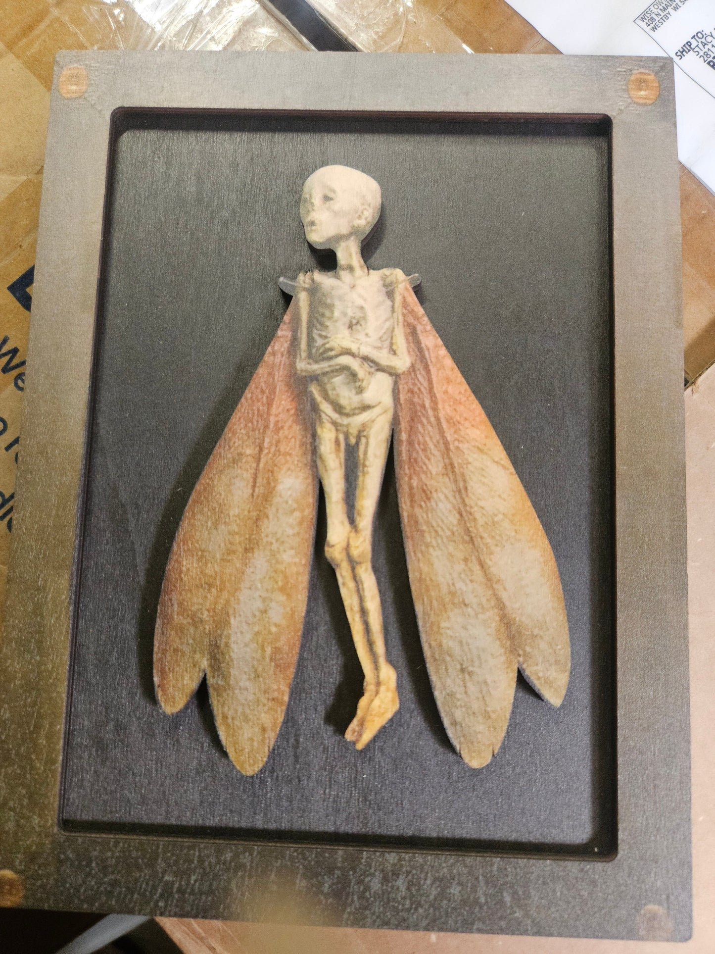 Plain natural wood backing of framed fairy mummy specimen
