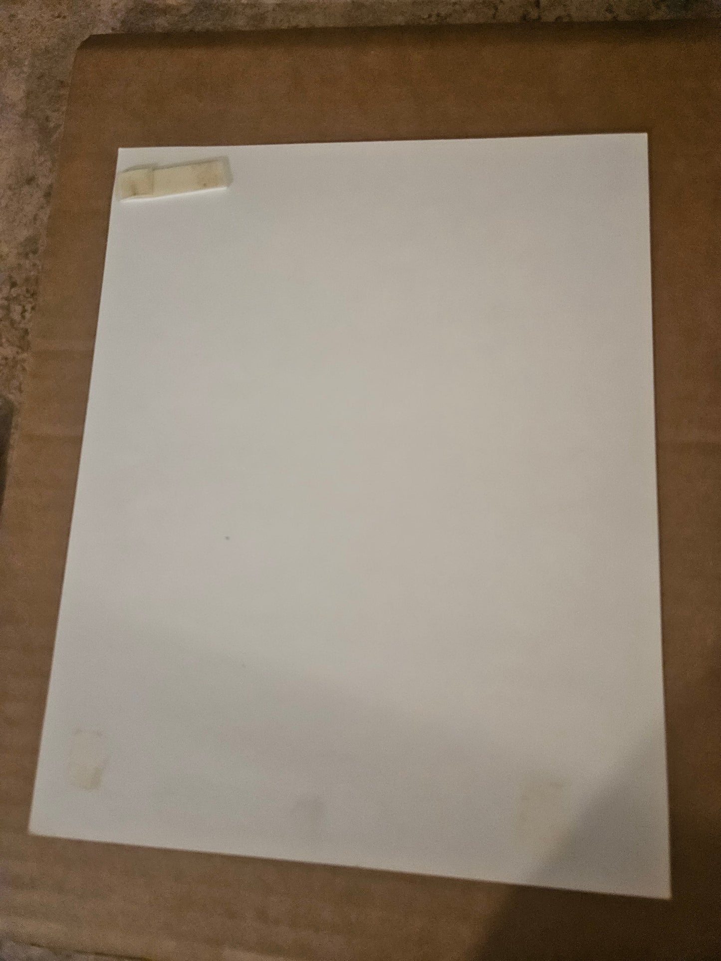 Back of Dorothy and Toto photo print showing plain white surface with small tape remnant in corner