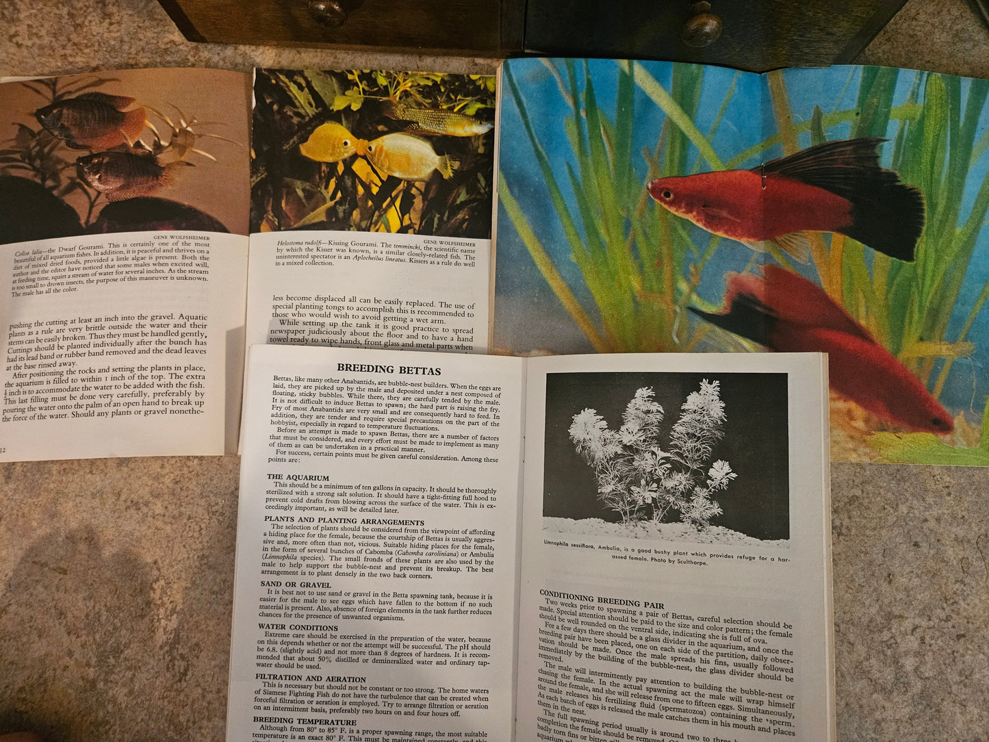 Vintage Pet Library Fish Booklets — Know Your Aquarium, Bettas & Platys and Swordtails, Set of 3