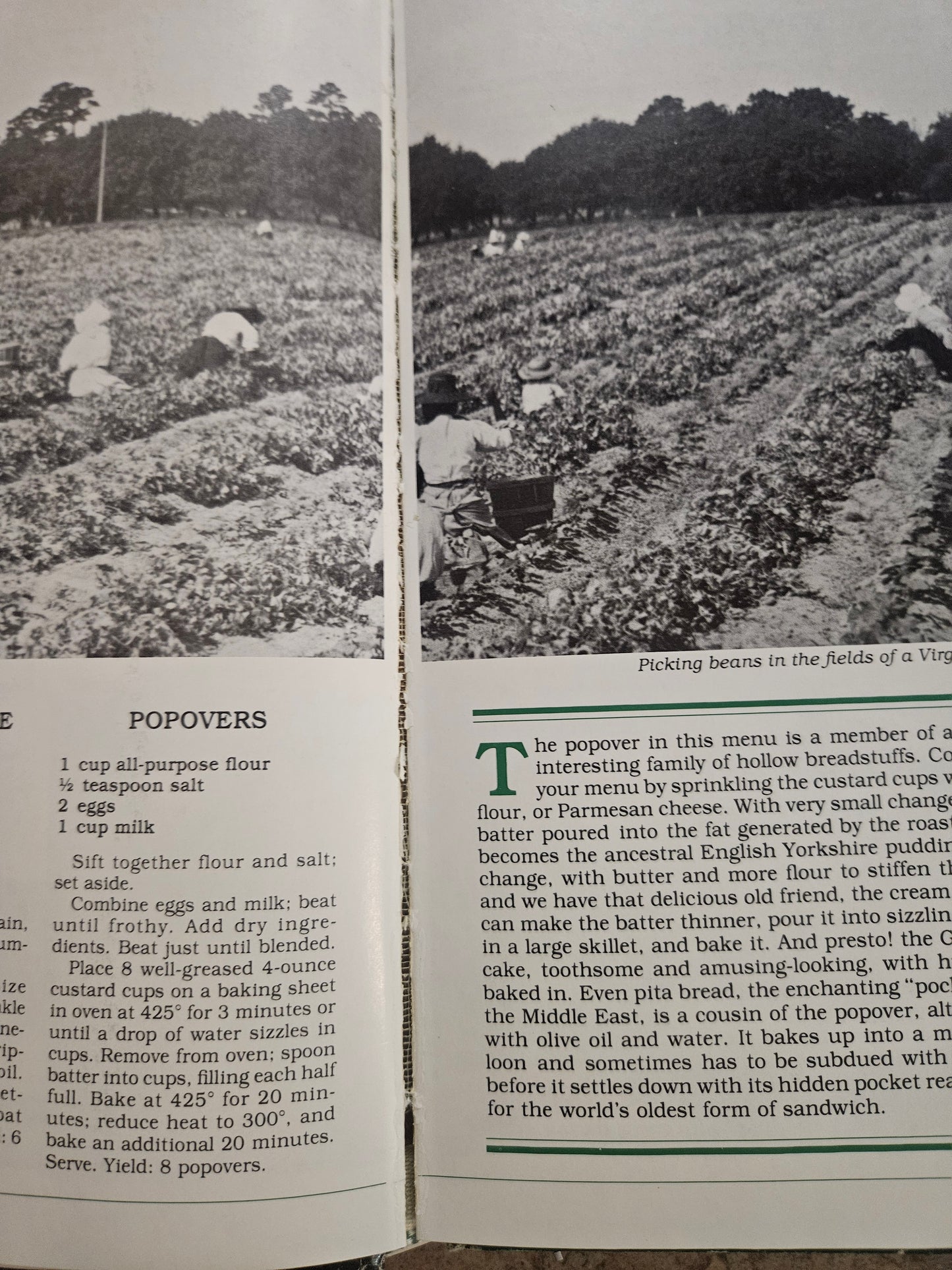 The Southern Heritage Company's Coming! Cookbook — 1983, Southern Living, Hardcover, Vintage