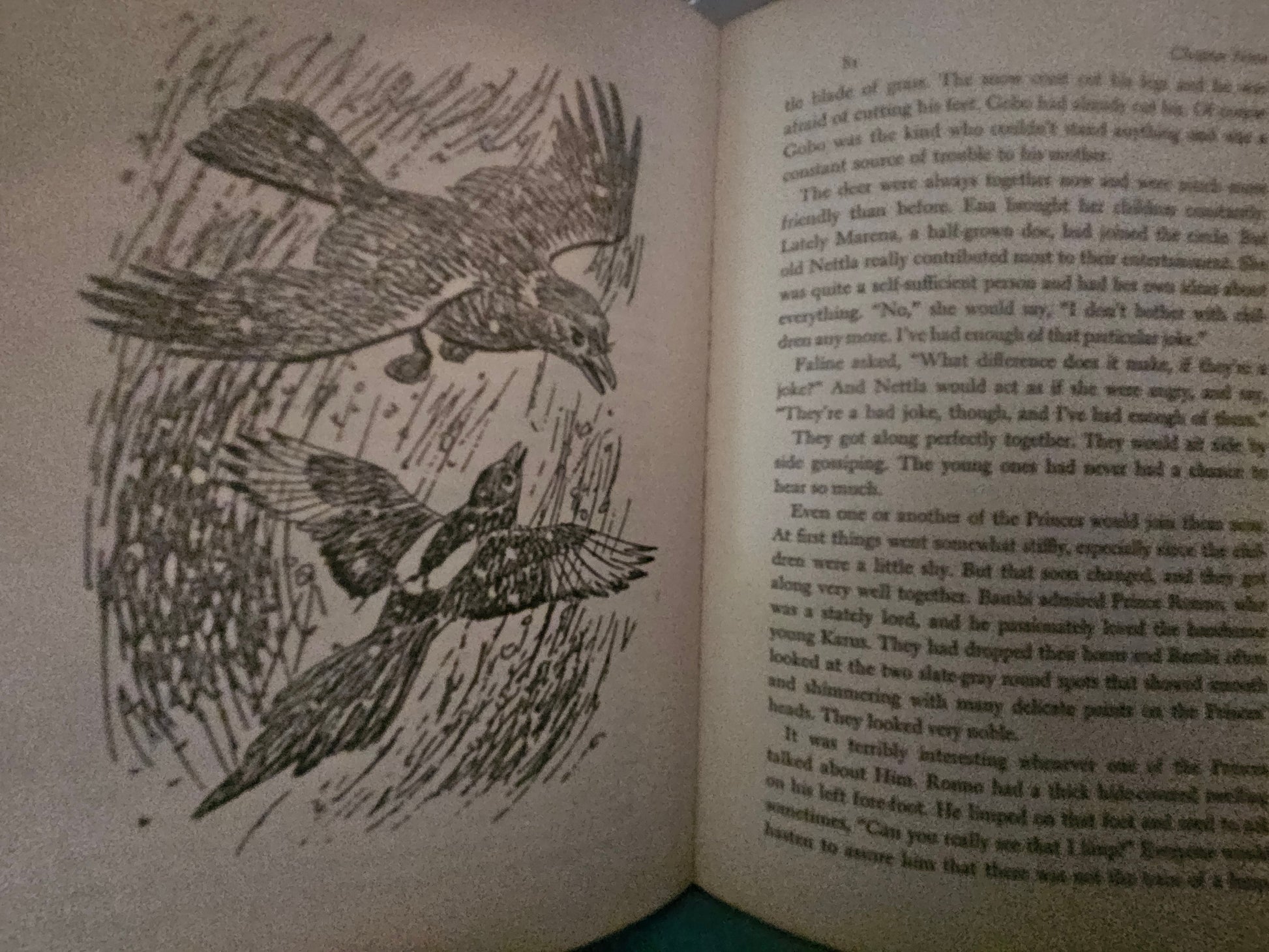 Interior page of Bambi showing black and white bird illustration