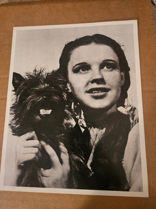 Vintage black and white photo print of Dorothy Judy Garland holding Toto in close-up portrait from Wizard of Oz